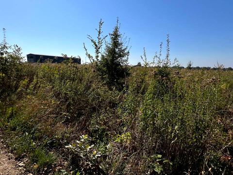 ділянка за адресою 