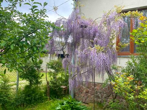 дом по адресу с. Куровичи, поштова