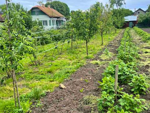 дом по адресу с. Куровичи, поштова