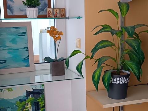 квартира по адресу Андрія Мельника ул. (Генерала Тупікова), 14-А