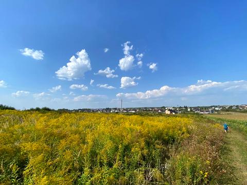 ділянка за адресою с. Ременів, 