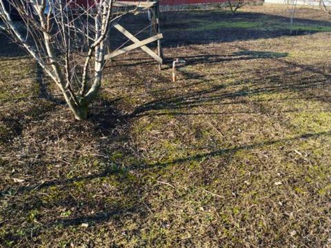 будинок за адресою Павлова