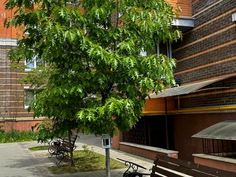 квартира за адресою Соборна вул., 1-Г к3