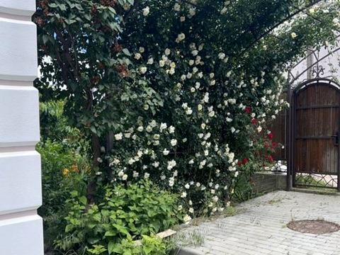 дом по адресу лінія 5, 30