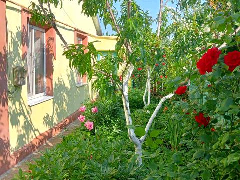 будинок за адресою Біляївка, Миру, 5