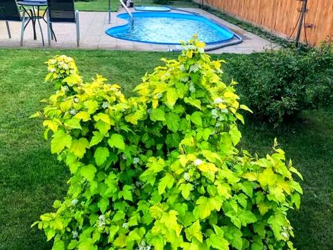 будинок за адресою Ясна