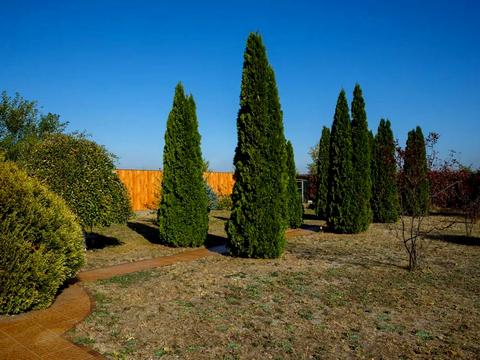 будинок за адресою Ясна