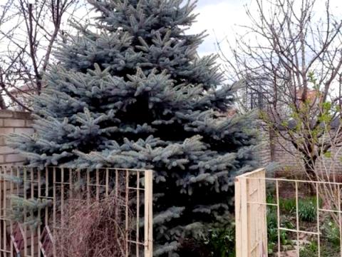 будинок за адресою 5 суворовская