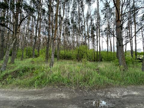 ділянка за адресою 