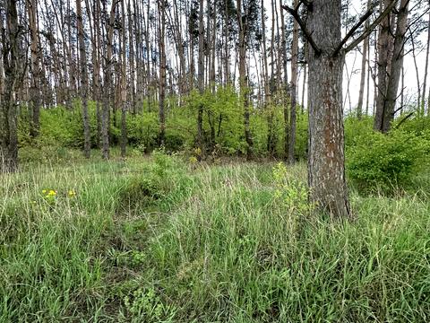 участок по адресу 