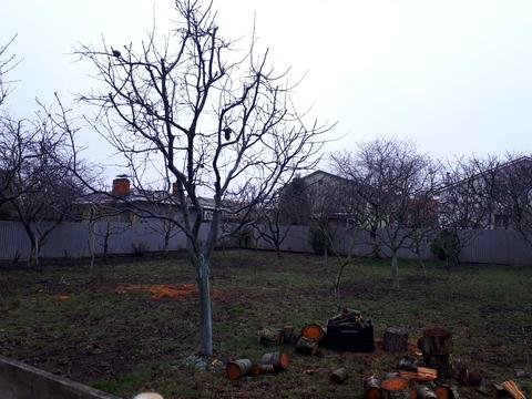 будинок за адресою Золотая горка