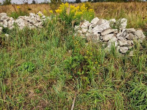 участок по адресу 