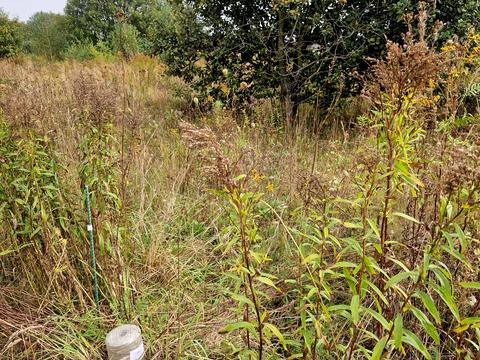 участок по адресу 