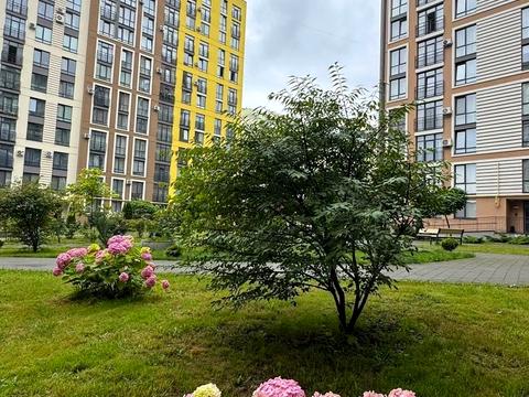 квартира за адресою Львів, Тараса Шевченка вул., 60/11