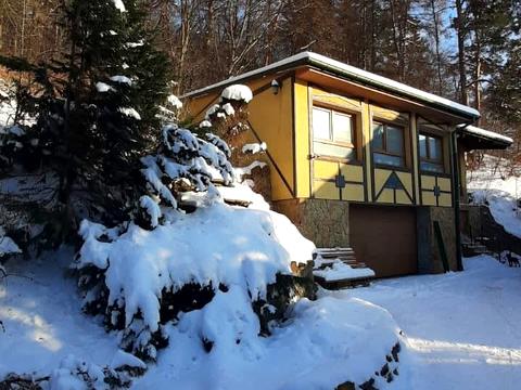 дом по адресу Забава ул., 100