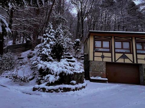 дом по адресу Забава ул., 100