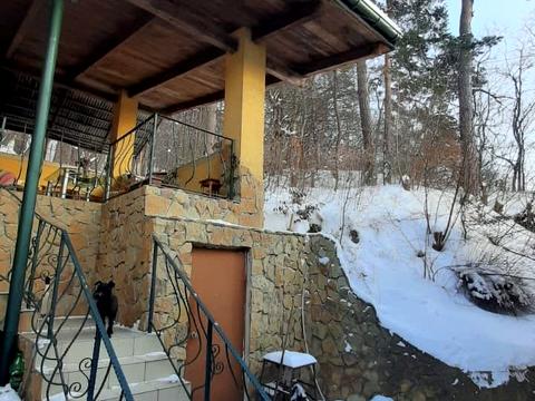 дом по адресу Забава ул., 100