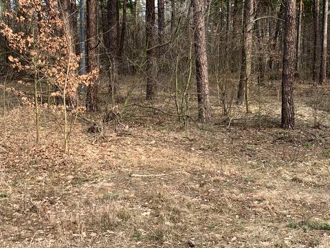 ділянка за адресою Київ, Літинська вул.