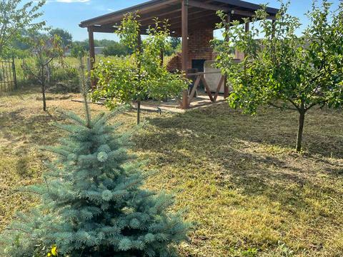 будинок за адресою Юрія Лісняка вул. (Робкорівська)