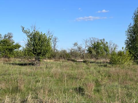 ділянка за адресою Остромирська вул.