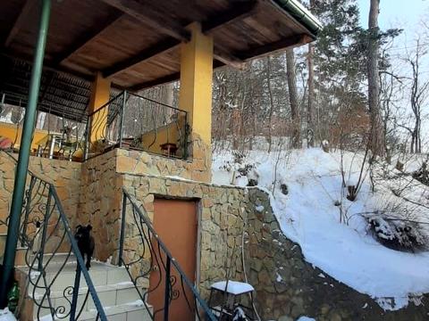 дом по адресу Забави, 100