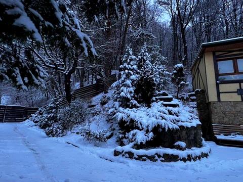 дом по адресу Забави, 100