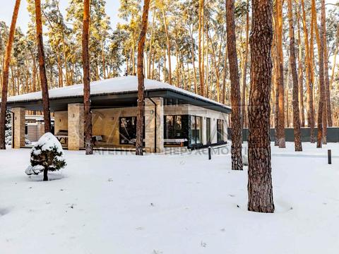 будинок за адресою Бучанський район