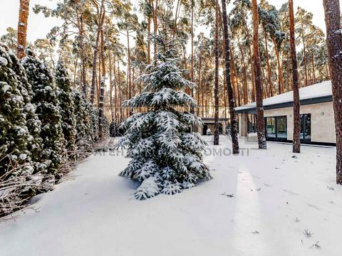 будинок за адресою Бучанський район