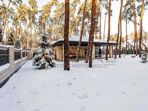 будинок за адресою Бучанський район