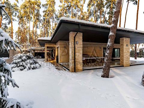 будинок за адресою Бучанський район