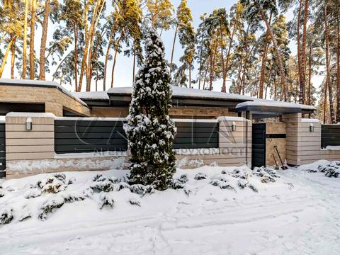 будинок за адресою Бучанський район