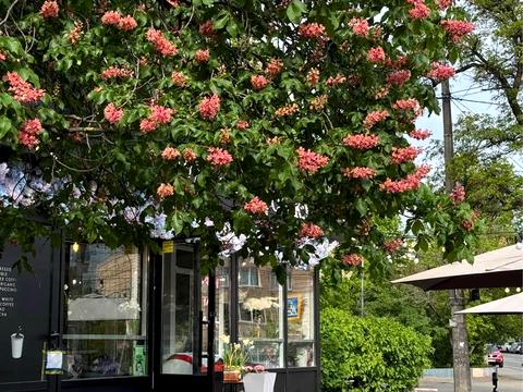 квартира за адресою Бастіонна вул., 10