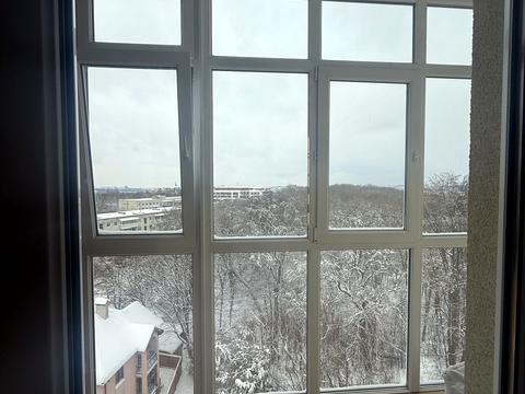 квартира по адресу Жасминовая ул., 11