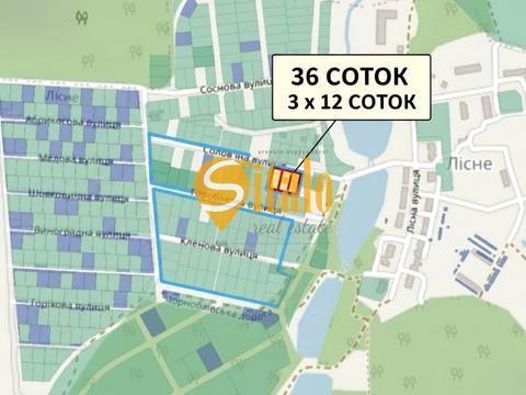 ділянка за адресою с. Лісне, Солов'їна