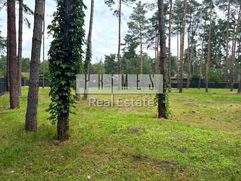 ділянка за адресою Сосновий Бір вул.