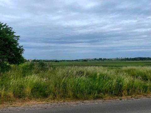 ділянка за адресою с. Могиляни, 