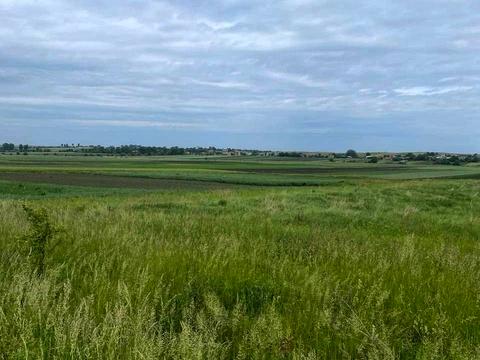 ділянка за адресою с. Могиляни, 