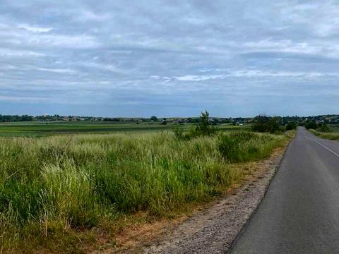 ділянка за адресою с. Могиляни, 