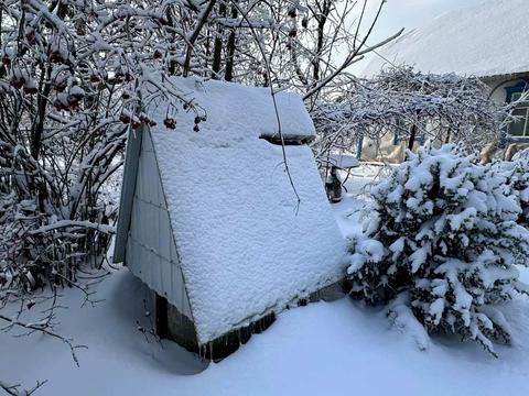 дом по адресу Ватутина ул., 62