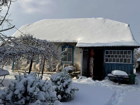 дом по адресу Ватутина ул., 62