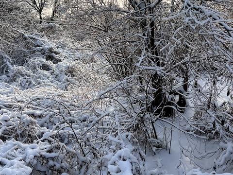 будинок за адресою Козацька вул. (Жовтнева), 23