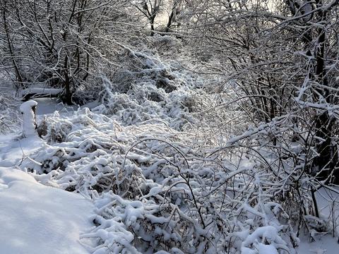 будинок за адресою Козацька вул. (Жовтнева), 23