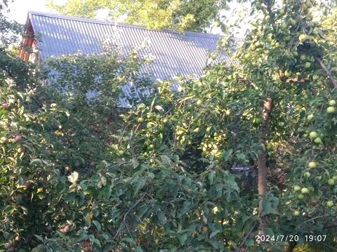 будинок за адресою Нова вул., 41