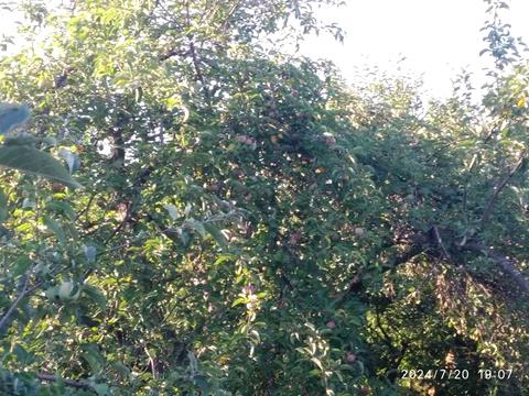 будинок за адресою Нова вул., 41