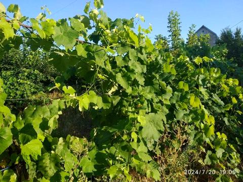 будинок за адресою Нова вул., 41