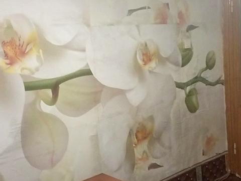 квартира за адресою Владислава Зубенка вул. (Тимурівців), 34в