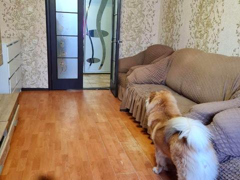 комерційна за адресою Новопрорізна вул., 2