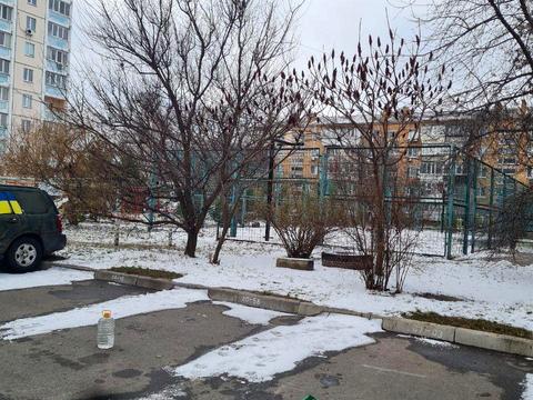 комерційна за адресою Новопрорізна вул., 2