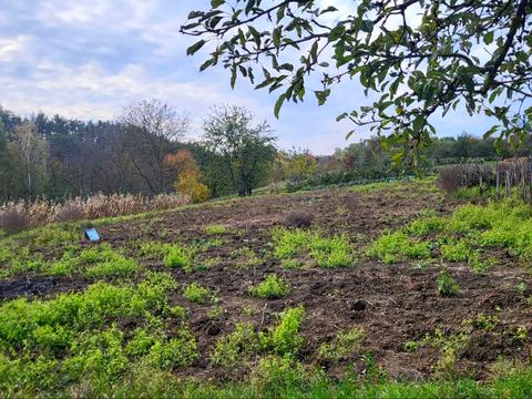 будинок за адресою Блюхера
