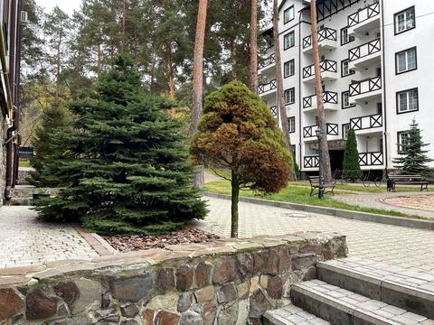 комерційна за адресою Придорожна вул., 1К3